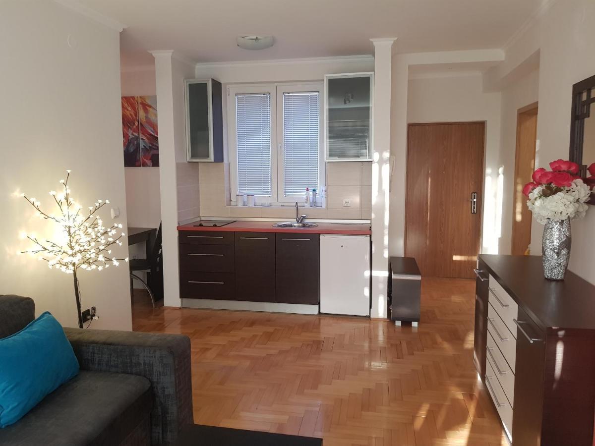 Rajiceva 5- Apartman Sa Prostranom Terasom I Garaznim Mestom 克拉古耶瓦茨 外观 照片